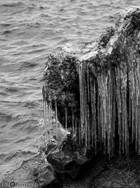 Versoix-glace-102.jpg