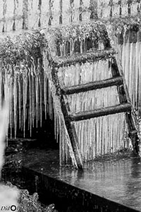 Versoix-glace-105.jpg