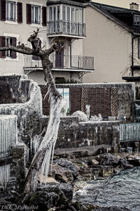 Versoix-glace-106.jpg