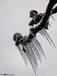 Versoix-glace-107.jpg