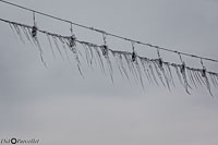 Versoix-glace-108.jpg