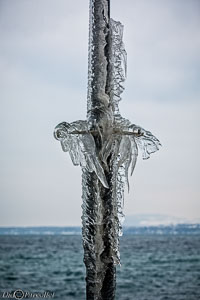 Versoix-glace-116.jpg