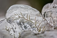 Versoix Glace