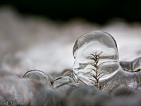 Versoix-glace-128.jpg