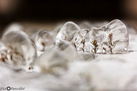 Versoix-glace-129.jpg