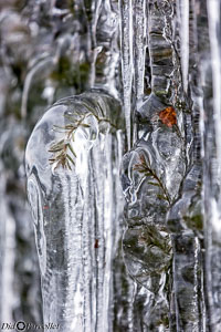 Versoix-glace-131.jpg