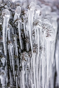 Versoix-glace-134.jpg