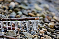 Versoix-glace-141.jpg