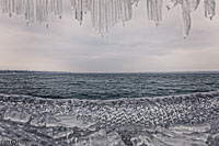 Versoix-glace-146.jpg
