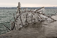 Versoix-glace-151.jpg