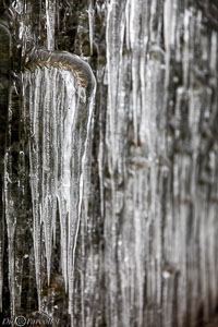 Versoix-glace-154.jpg