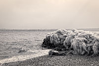 Versoix2-111.jpg