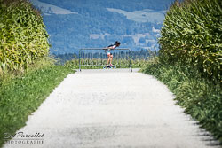 20220821_Mittelland-Rollt-292.jpg
