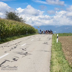 20220821_Mittelland-Rollt-307.jpg