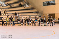 Saône-Valley-Roller-Girlz---Sisters-in-arms-101.jpg