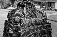 Amsterdam-123.jpg