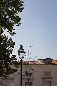 Lisbonne-224.jpg