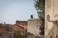 Lisbonne-250.jpg