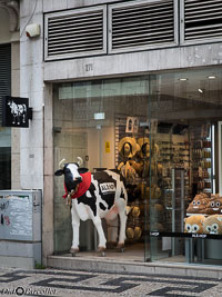 Lisbonne-414.jpg