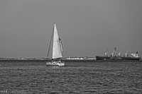 Lisbonne-134.jpg