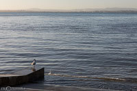 Lisbonne-525.jpg