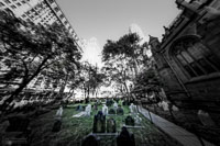 NY07-211.jpg