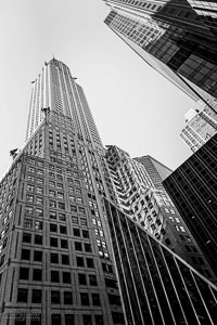 NY03-231.jpg