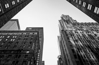 NY03-240.jpg