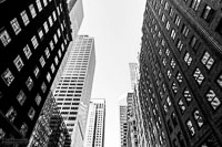NY03-244.jpg