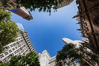 NY07-208.jpg