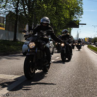 TEM-Défilé-2016-706.jpg