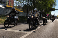 TEM-Défilé-2016-709.jpg