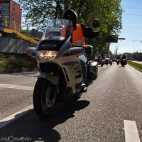 TEM-Défilé-2016-720.jpg