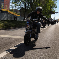 TEM-Défilé-2016-722.jpg