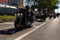 TEM-Défilé-2016-723.jpg