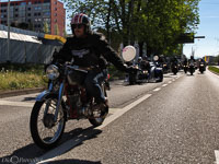 TEM-Défilé-2016-725.jpg