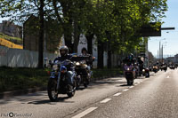 TEM-Défilé-2016-729.jpg