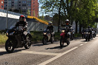 TEM-Défilé-2016-735.jpg