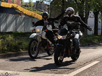 TEM-Défilé-2016-738.jpg
