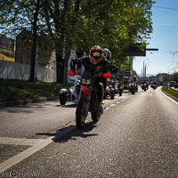 TEM-Défilé-2016-741.jpg