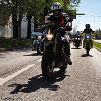 TEM-Défilé-2016-752.jpg
