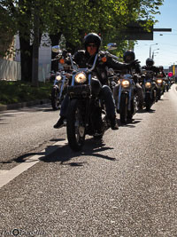 TEM-Défilé-2016-757.jpg
