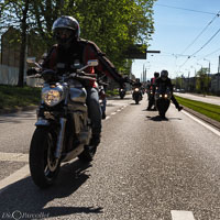 TEM-Défilé-2016-765.jpg