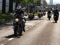 TEM-Défilé-2016-774.jpg