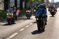 TEM-Défilé-2016-776.jpg