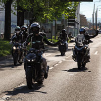 TEM-Défilé-2016-779.jpg