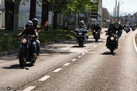 TEM-Défilé-2016-785.jpg