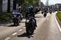 TEM-Défilé-2016-786.jpg