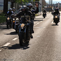 TEM-Défilé-2016-791.jpg