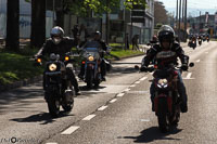 TEM-Défilé-2016-793.jpg